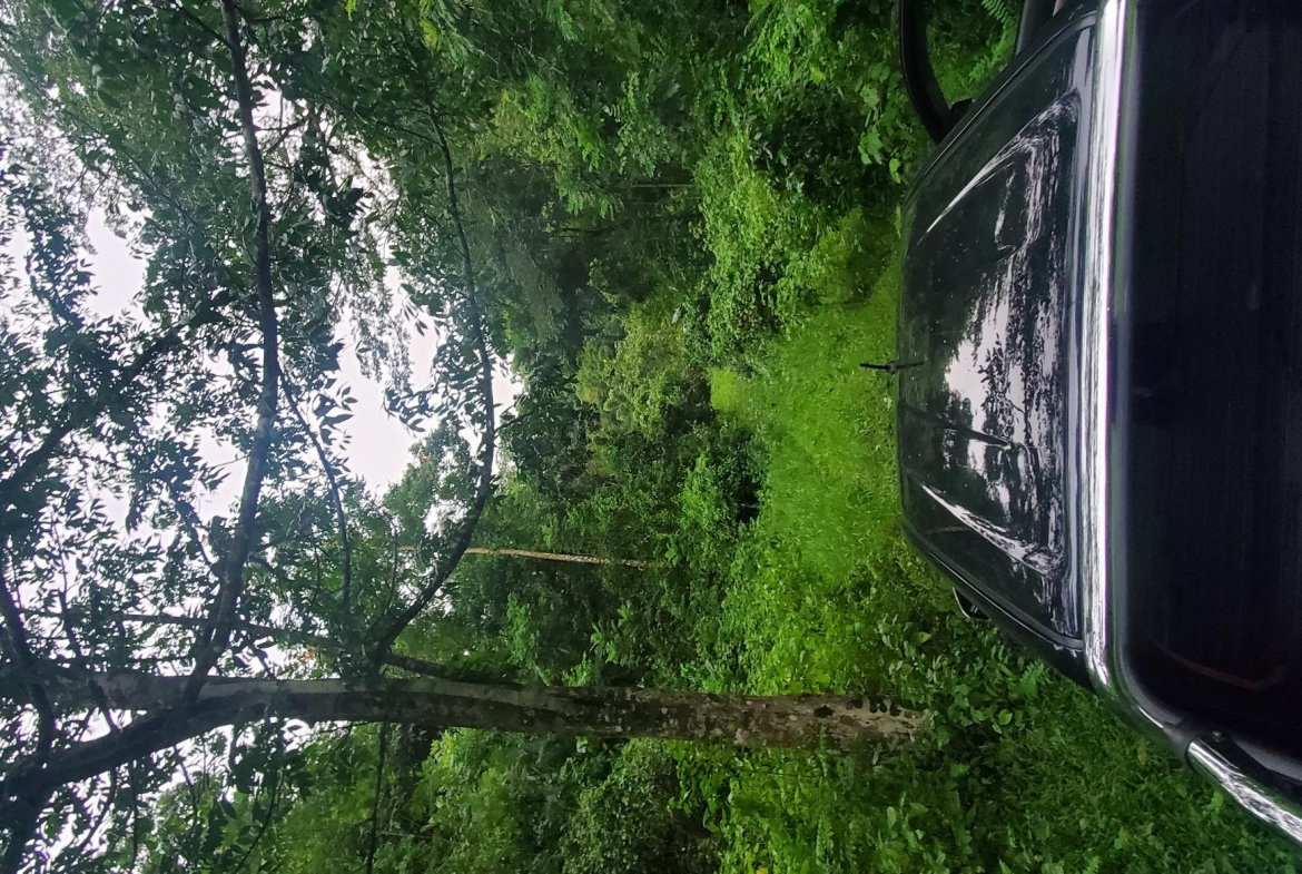 First image of Arnosvale in Comfort Hall, Manchester, Jamaica - property is For Sale