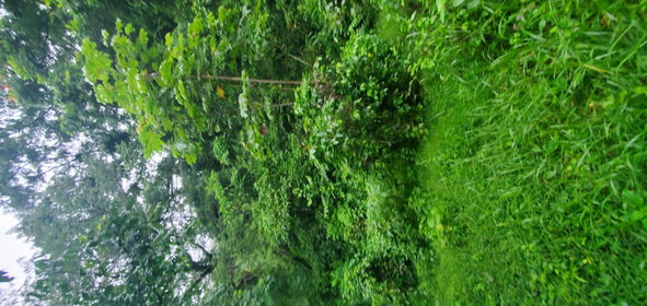 Third image of Arnosvale in Comfort Hall, Manchester, Jamaica - property is For Sale