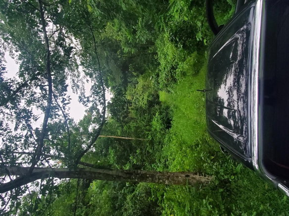 First image of Arnosvale in Comfort Hall, Manchester, Jamaica - property is For Sale