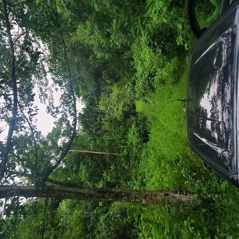 First image of Arnosvale in Comfort Hall, Manchester, Jamaica - property is For Sale