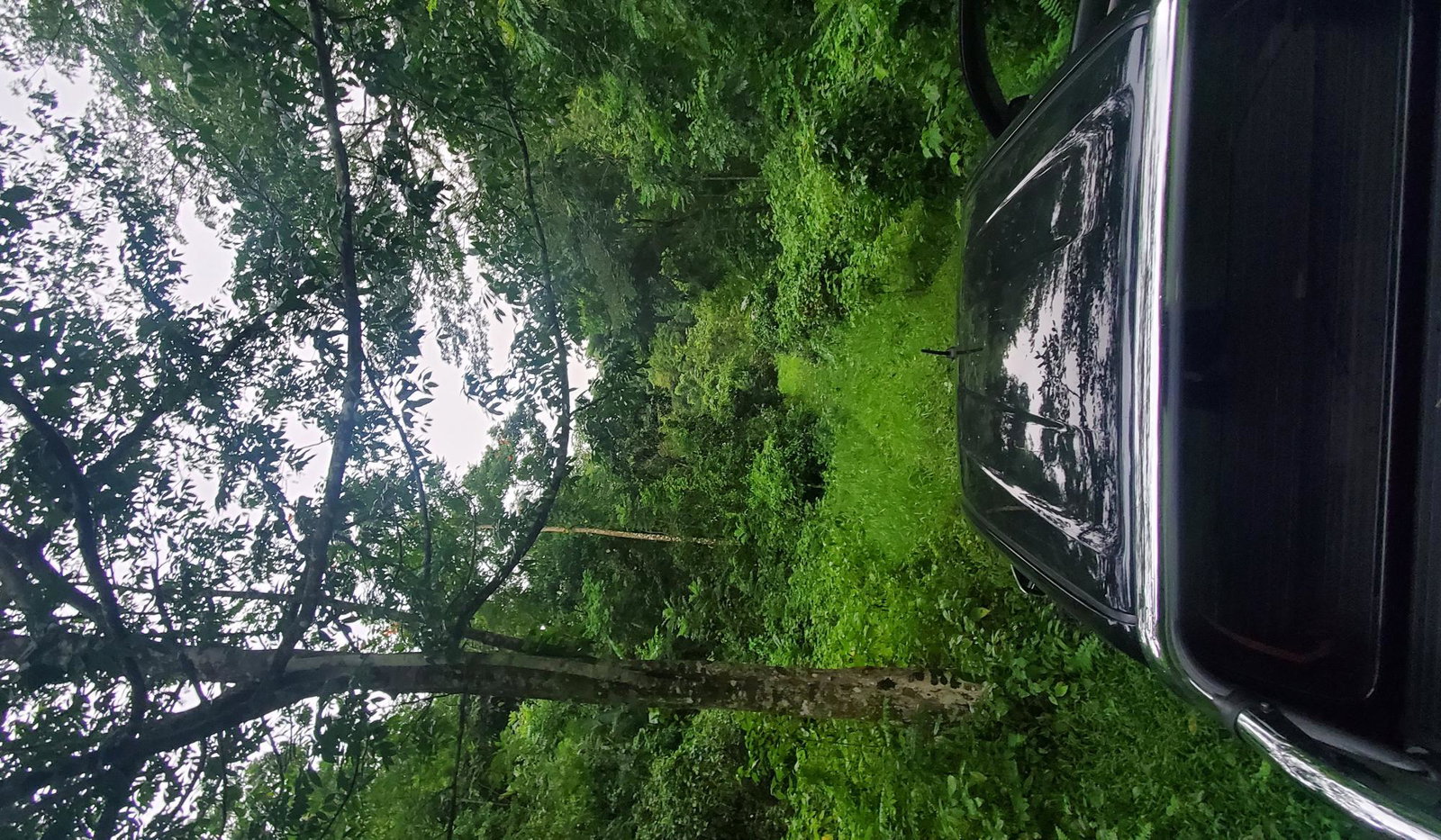 First image of Arnosvale in Comfort Hall, Manchester, Jamaica - property is For Sale