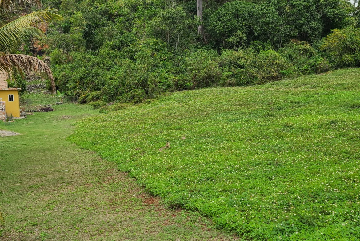 Second image of East Kirkland Heights in Red Hills, St. Andrew, Jamaica - property is For Sale