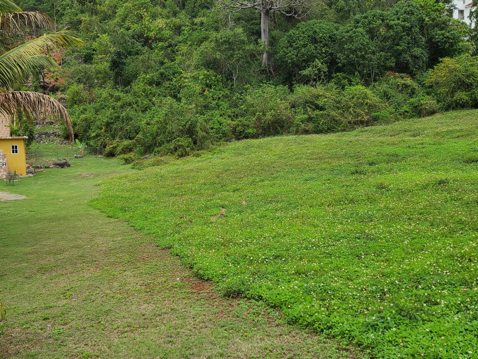 Development-Land-for-Sale-in-East-Kirkland-Heights-St.-Andrew-Jamaica Second image of East Kirkland Heights in Red Hills, St. Andrew, Jamaica - property is For Sale