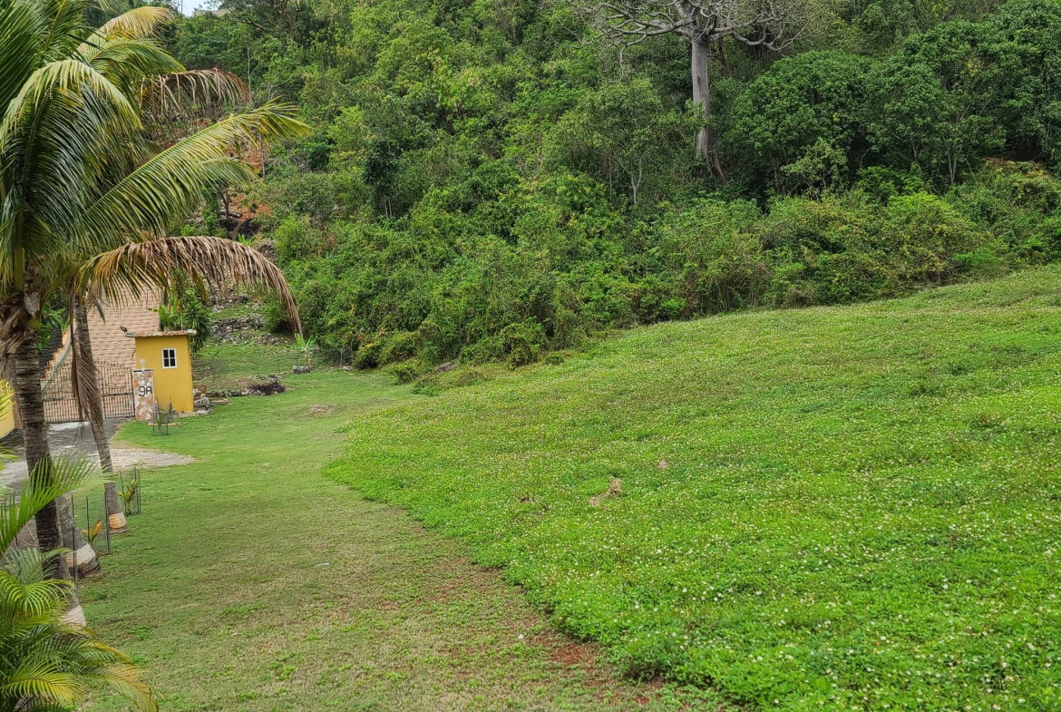 Third image of East Kirkland Heights in Red Hills, St. Andrew, Jamaica - property is For Sale