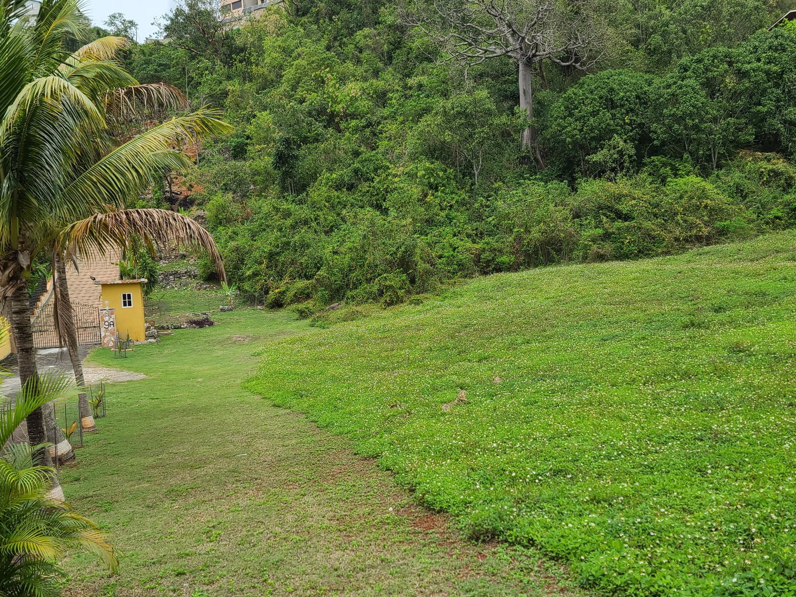 Development-Land-for-Sale-in-East-Kirkland-Heights-St.-Andrew-Jamaica Third image of East Kirkland Heights in Red Hills, St. Andrew, Jamaica - property is For Sale