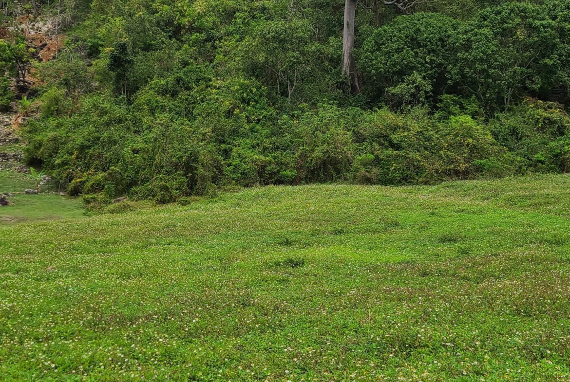 Fifth image of East Kirkland Heights in Red Hills, St. Andrew, Jamaica - property is For Sale
