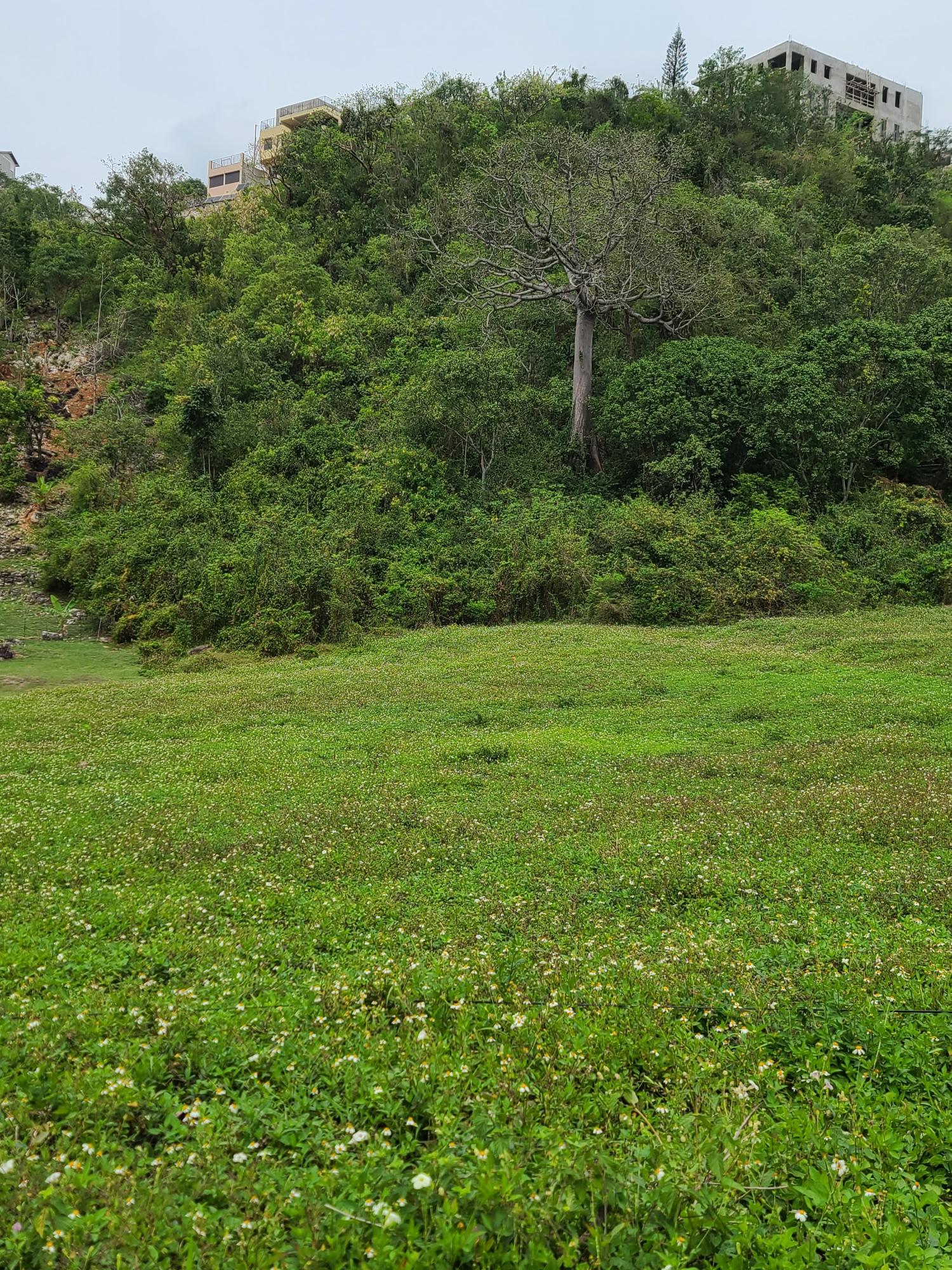 Development-Land-for-Sale-in-East-Kirkland-Heights-St.-Andrew-Jamaica Fifth image of East Kirkland Heights in Red Hills, St. Andrew, Jamaica - property is For Sale