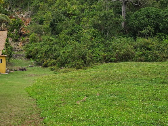 First image of East Kirkland Heights in Red Hills, St. Andrew, Jamaica - property is For Sale