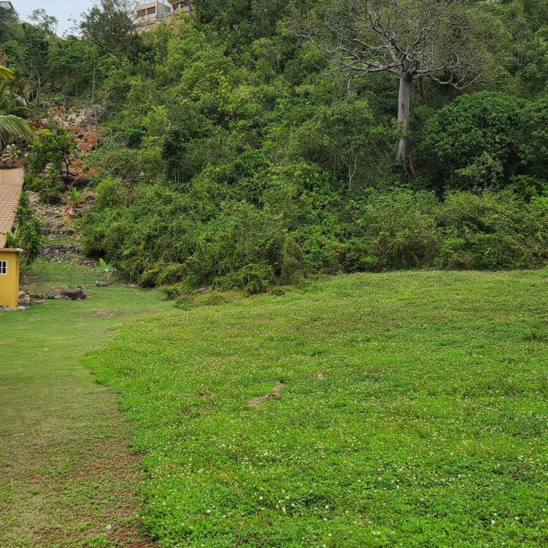 First image of East Kirkland Heights in Red Hills, St. Andrew, Jamaica - property is For Sale
