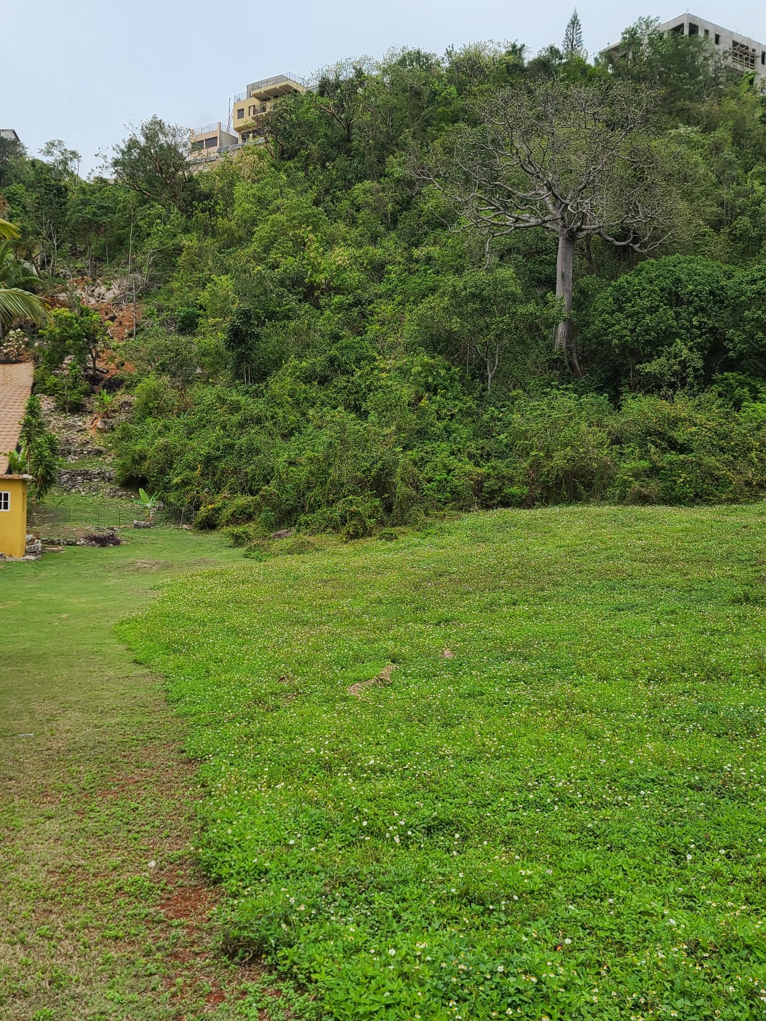 Development-Land-for-Sale-in-East-Kirkland-Heights-St.-Andrew-Jamaica First image of East Kirkland Heights in Red Hills, St. Andrew, Jamaica - property is For Sale