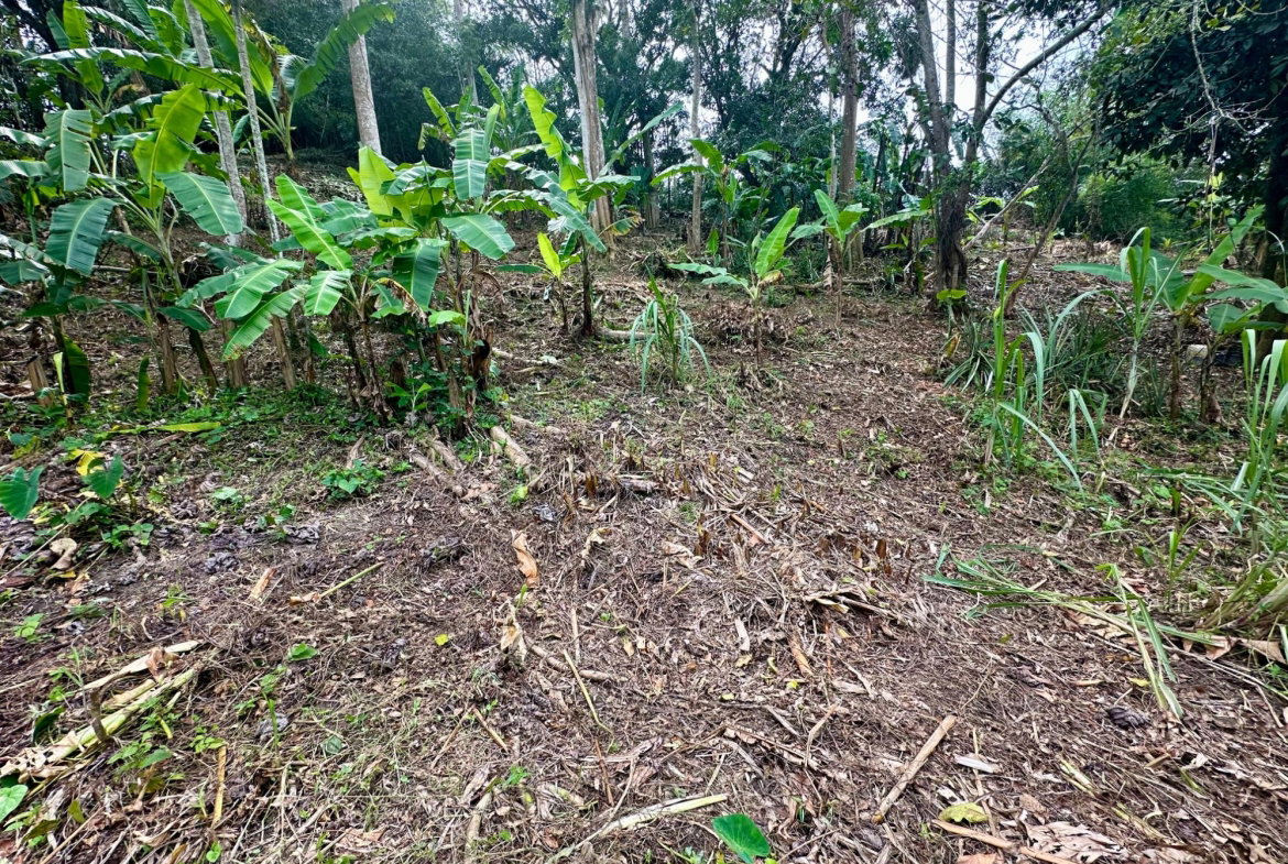 Second image of 82 Golden Spring in Kingston 9, St. Andrew, Jamaica - property is For Sale