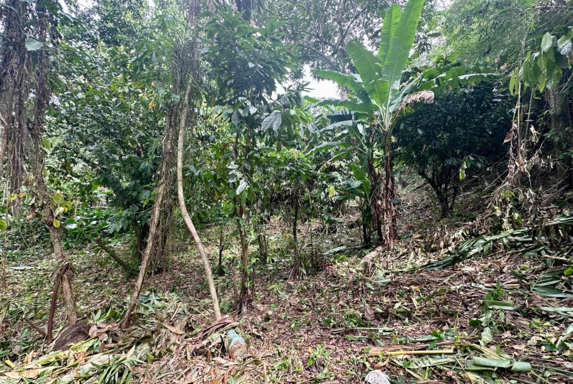 Eleventh image of 82 Golden Spring in Kingston 9, St. Andrew, Jamaica - property is For Sale