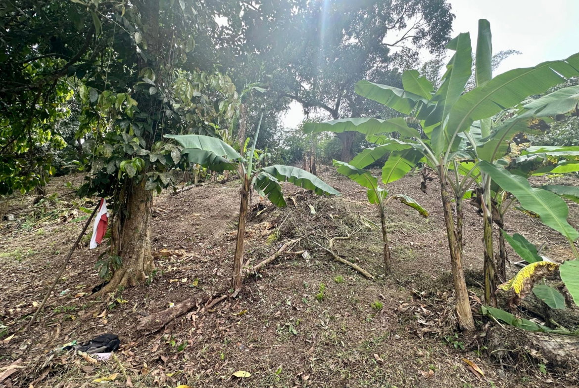 Twelfth image of 82 Golden Spring in Kingston 9, St. Andrew, Jamaica - property is For Sale