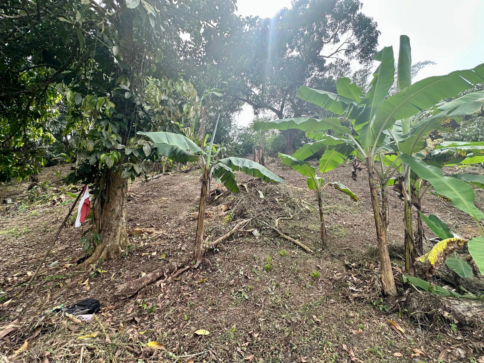 Twelfth image of 82 Golden Spring in Kingston 9, St. Andrew, Jamaica - property is For Sale