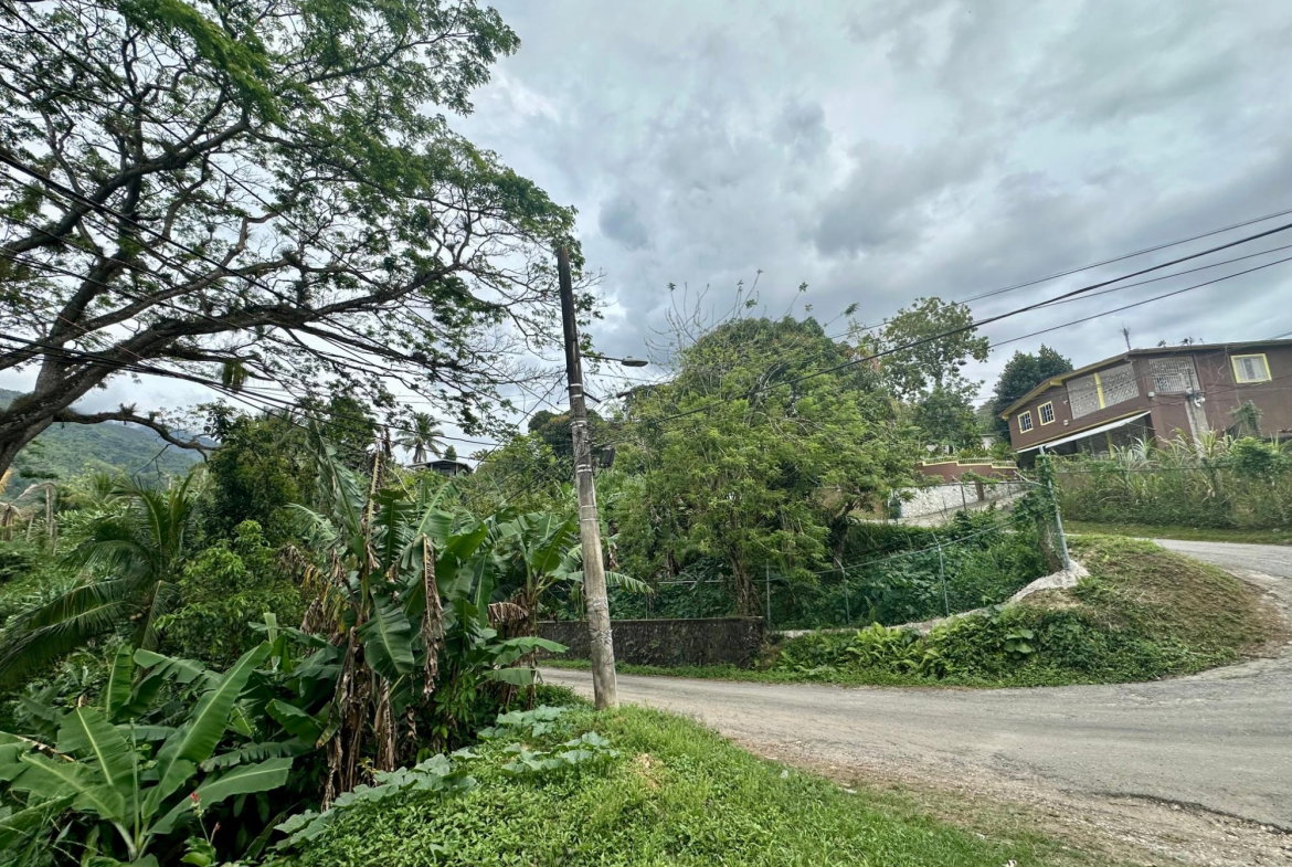 Sixteenth image of 82 Golden Spring in Kingston 9, St. Andrew, Jamaica - property is For Sale