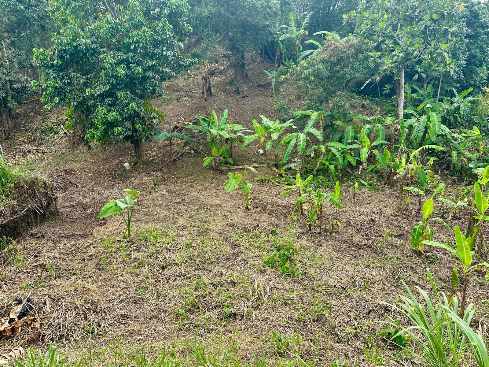 Seventeenth image of 82 Golden Spring in Kingston 9, St. Andrew, Jamaica - property is For Sale
