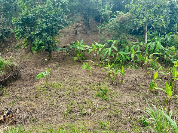Seventeenth image of 82 Golden Spring in Kingston 9, St. Andrew, Jamaica - property is For Sale