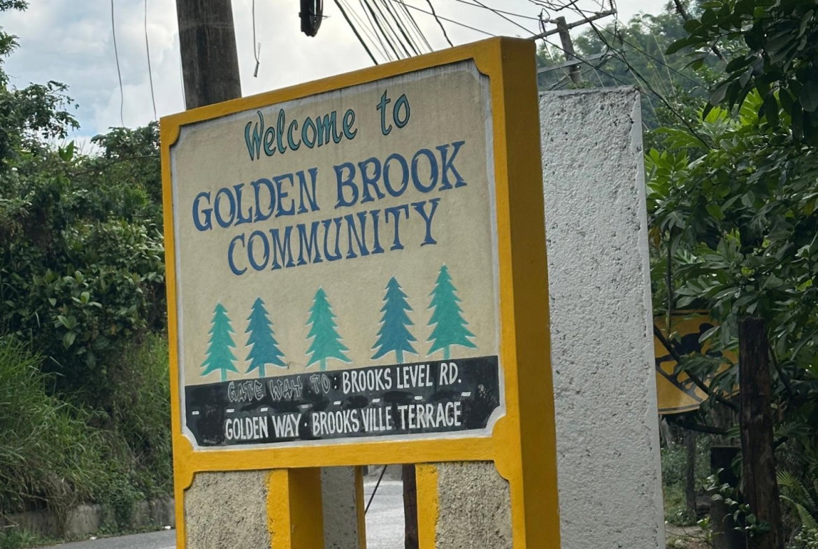 Twentieth image of 82 Golden Spring in Kingston 9, St. Andrew, Jamaica - property is For Sale