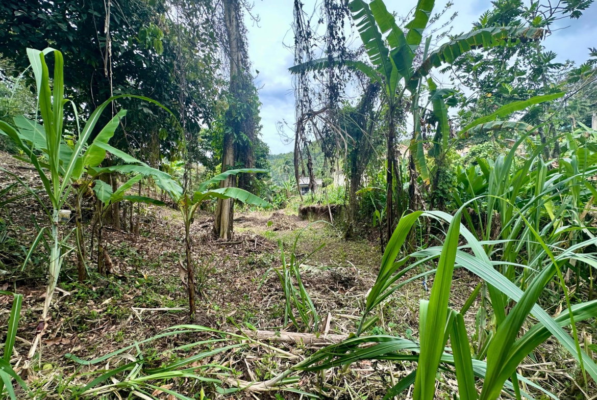 Third image of 82 Golden Spring in Kingston 9, St. Andrew, Jamaica - property is For Sale