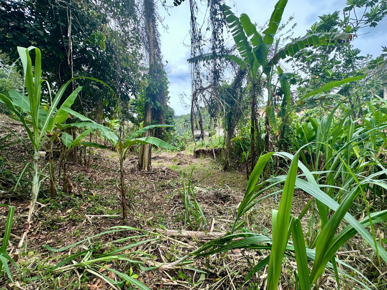 Third image of 82 Golden Spring in Kingston 9, St. Andrew, Jamaica - property is For Sale