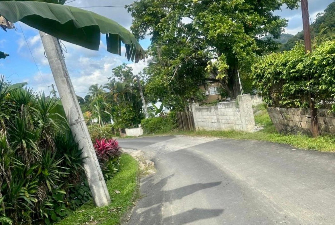 Twenty-First image of 82 Golden Spring in Kingston 9, St. Andrew, Jamaica - property is For Sale