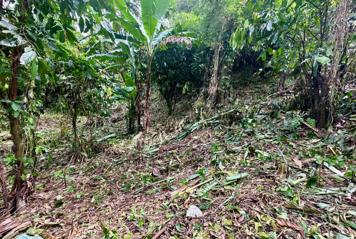 Fourth image of 82 Golden Spring in Kingston 9, St. Andrew, Jamaica - property is For Sale