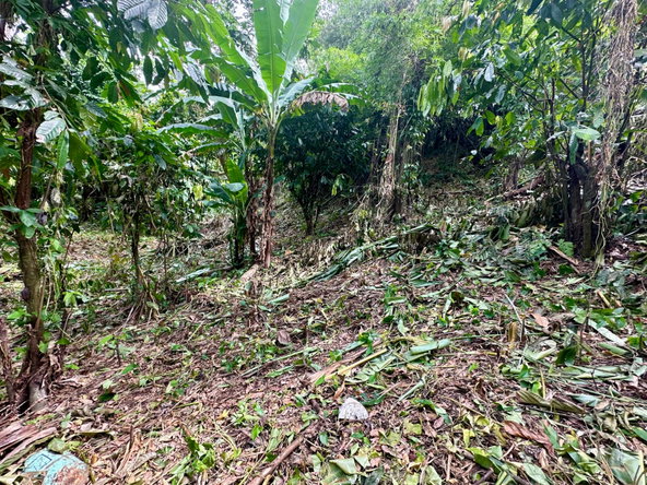 Fourth image of 82 Golden Spring in Kingston 9, St. Andrew, Jamaica - property is For Sale