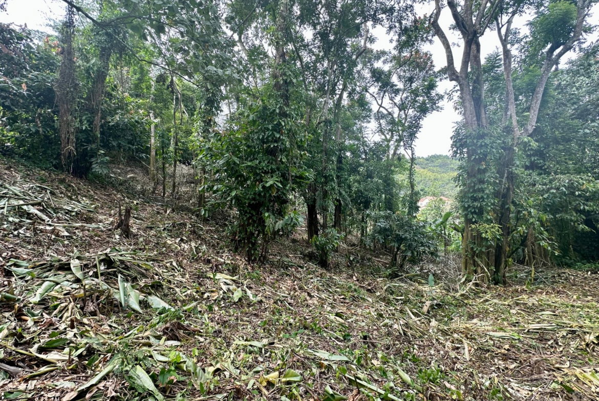 Fifth image of 82 Golden Spring in Kingston 9, St. Andrew, Jamaica - property is For Sale