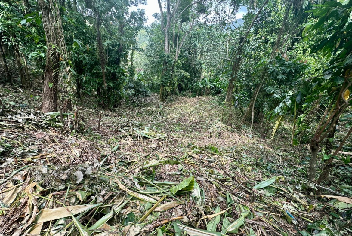 Sixth image of 82 Golden Spring in Kingston 9, St. Andrew, Jamaica - property is For Sale