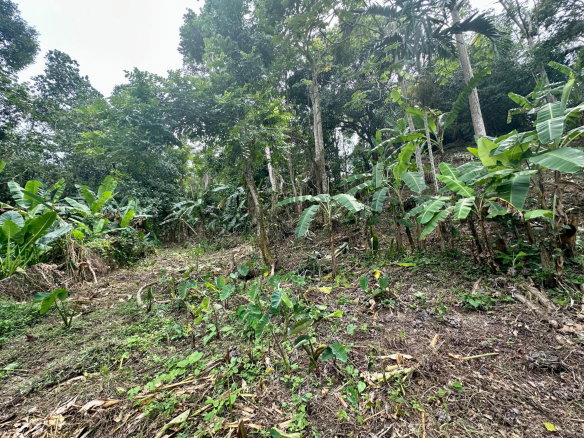 First image of 82 Golden Spring in Kingston 9, St. Andrew, Jamaica - property is For Sale