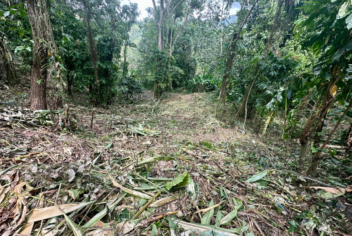 Seventh image of 82 Golden Spring in Kingston 9, St. Andrew, Jamaica - property is For Sale