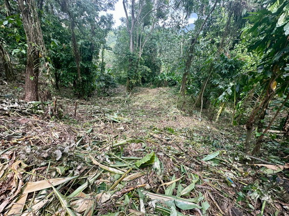 Seventh image of 82 Golden Spring in Kingston 9, St. Andrew, Jamaica - property is For Sale