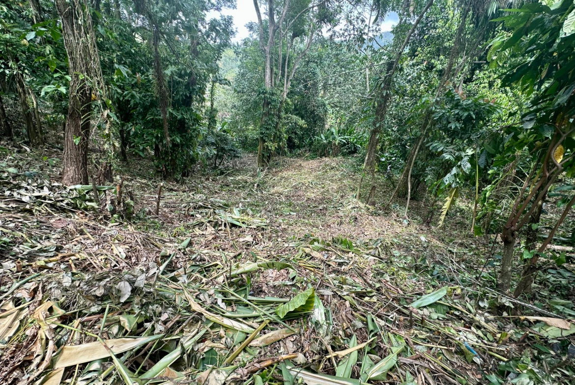 Eighth image of 82 Golden Spring in Kingston 9, St. Andrew, Jamaica - property is For Sale