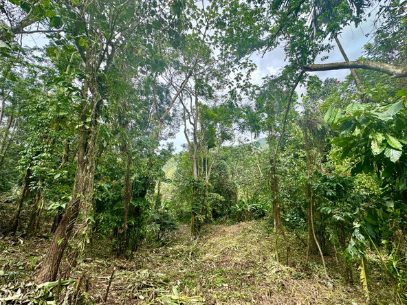 Ninth image of 82 Golden Spring in Kingston 9, St. Andrew, Jamaica - property is For Sale