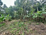 First image of 82 Golden Spring in Kingston 9, St. Andrew, Jamaica - property is For Sale