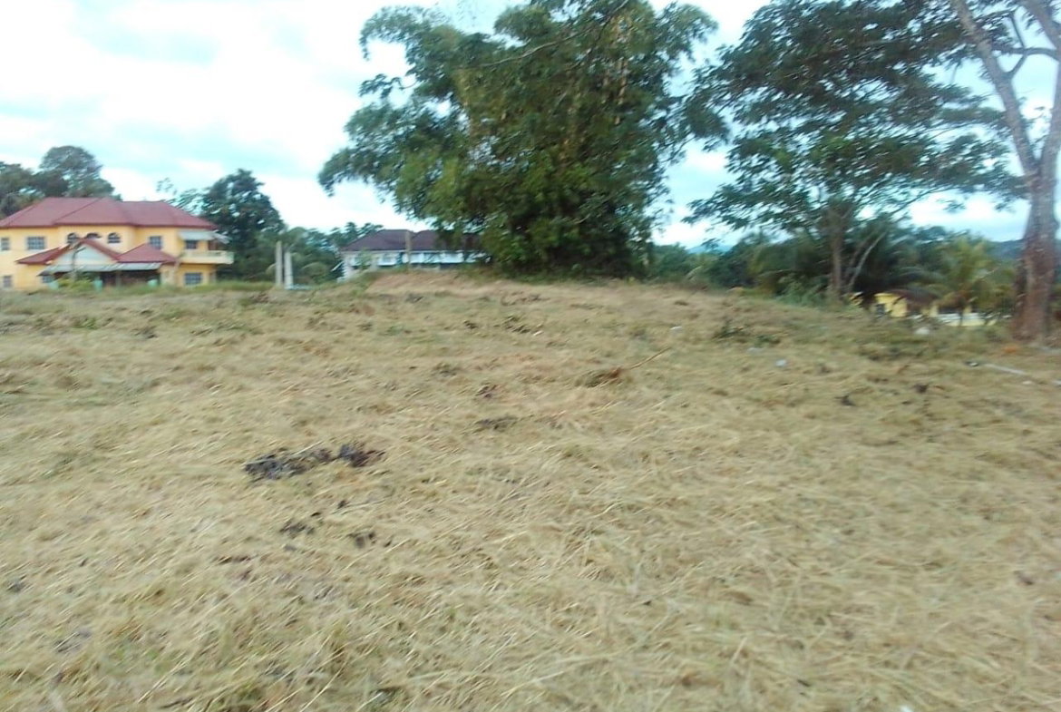 Fourth image of Mickleton Heights in Linstead, St. Catherine, Jamaica - property is For Sale