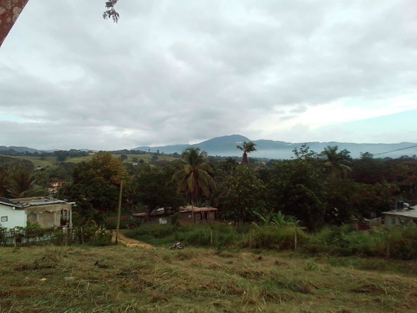 Sixth image of Mickleton Heights in Linstead, St. Catherine, Jamaica - property is For Sale