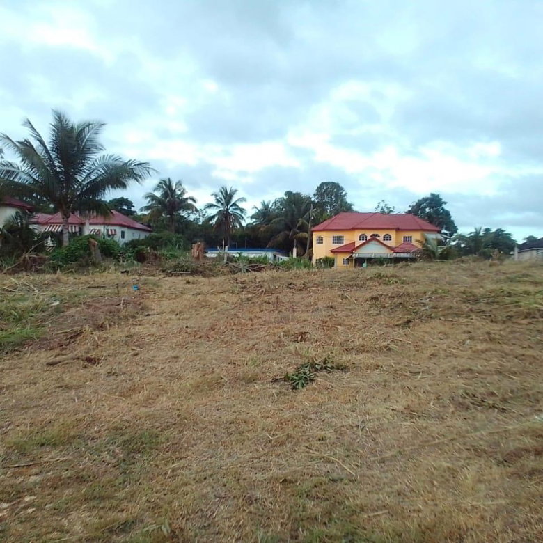 First image of Mickleton Heights in Linstead, St. Catherine, Jamaica - property is For Sale
