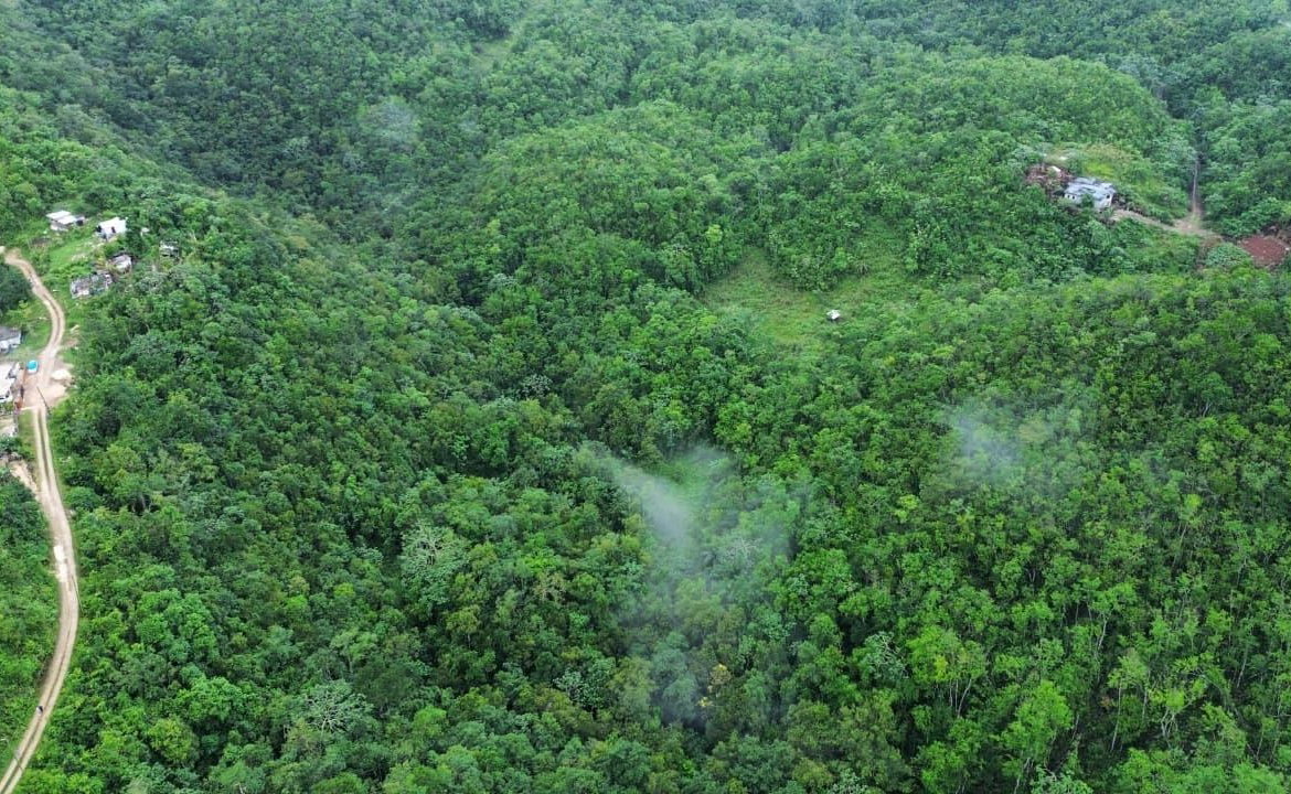 Second image of Mount Zion in Red Hills, St. Andrew, Jamaica - property is For Sale