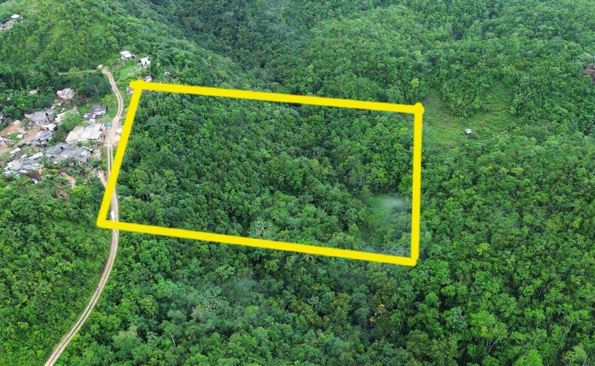 Eleventh image of Mount Zion in Red Hills, St. Andrew, Jamaica - property is For Sale