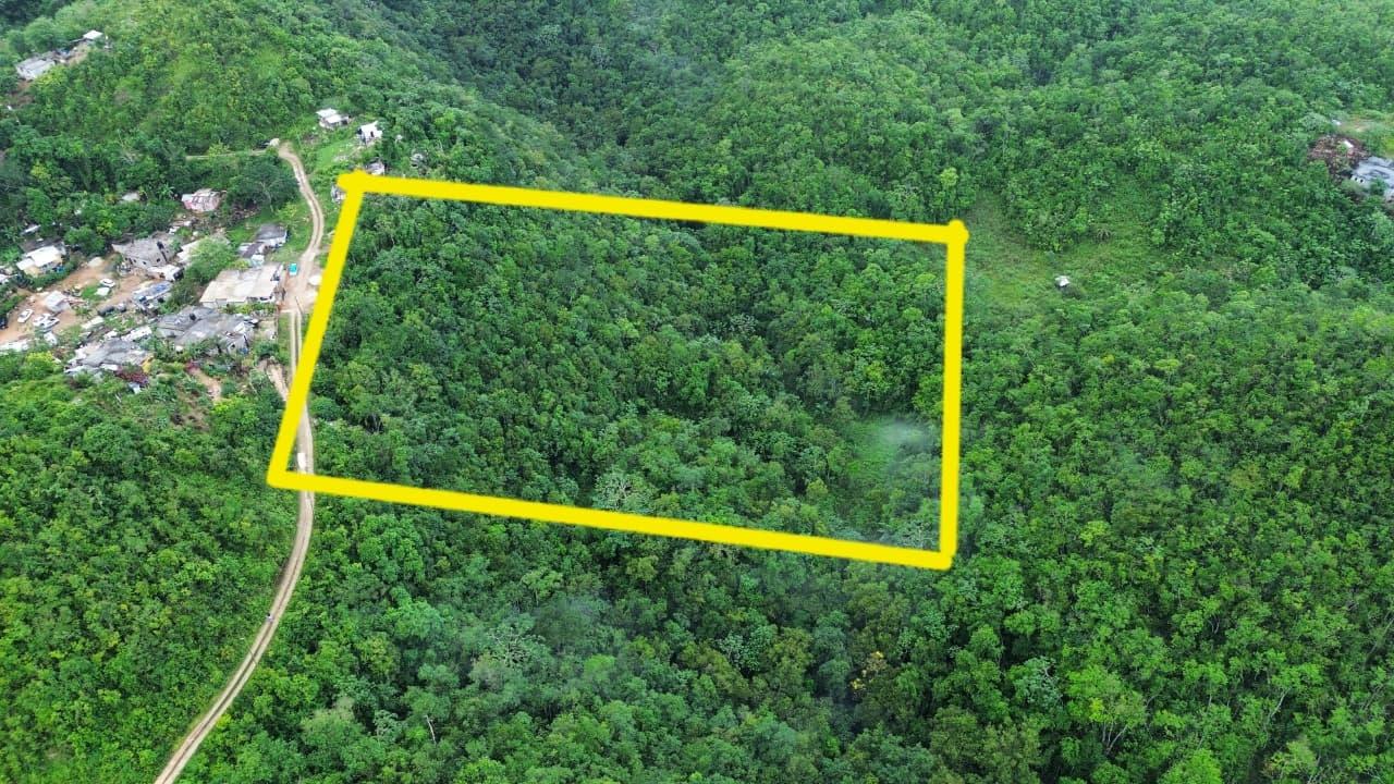 Development-Land-for-Sale-in-Mount-Zion-St.-Andrew-Jamaica-4-Acres Eleventh image of Mount Zion in Red Hills, St. Andrew, Jamaica - property is For Sale