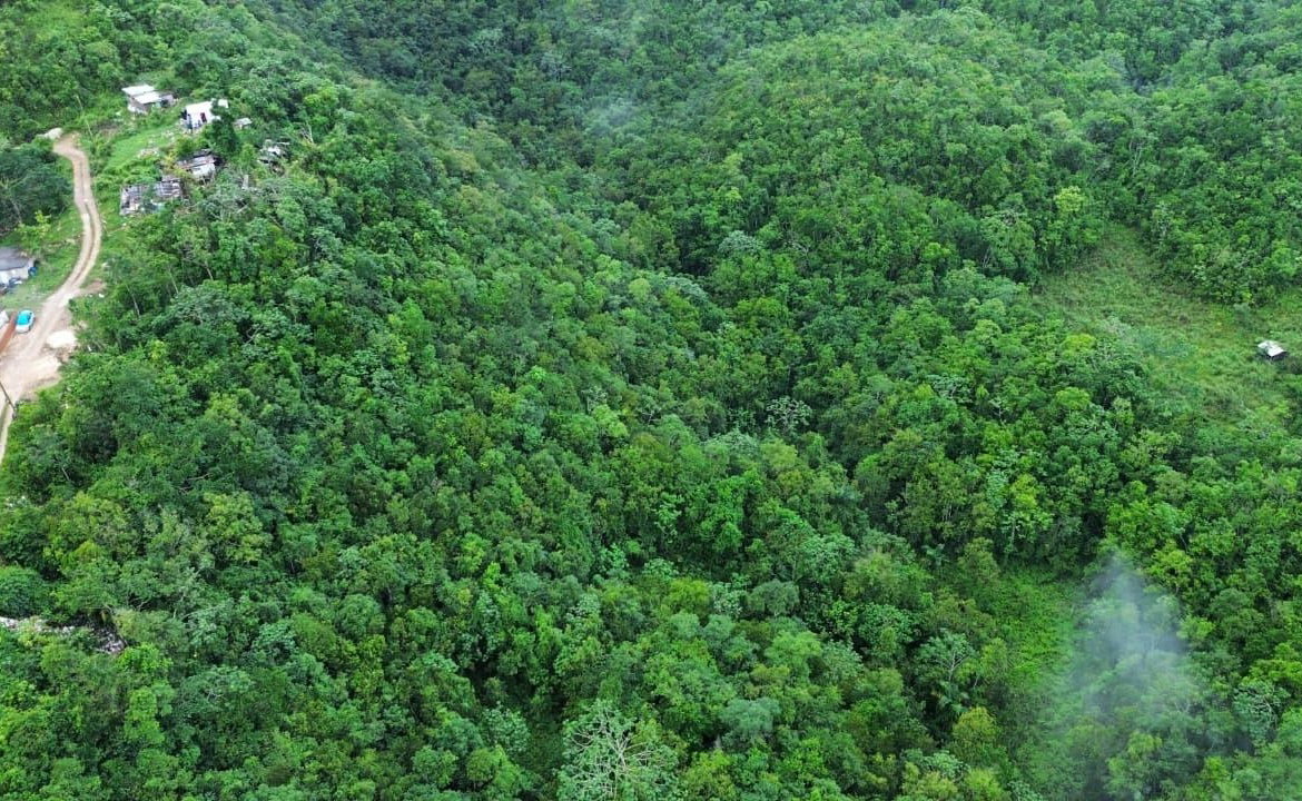 First image of Mount Zion in Red Hills, St. Andrew, Jamaica - property is For Sale