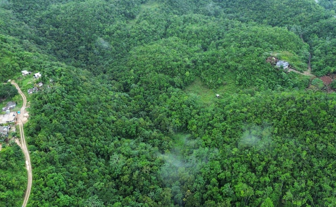 Third image of Mount Zion in Red Hills, St. Andrew, Jamaica - property is For Sale