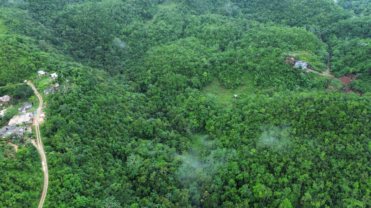 Development-Land-for-Sale-in-Mount-Zion-St.-Andrew-Jamaica-4-Acres Third image of Mount Zion in Red Hills, St. Andrew, Jamaica - property is For Sale