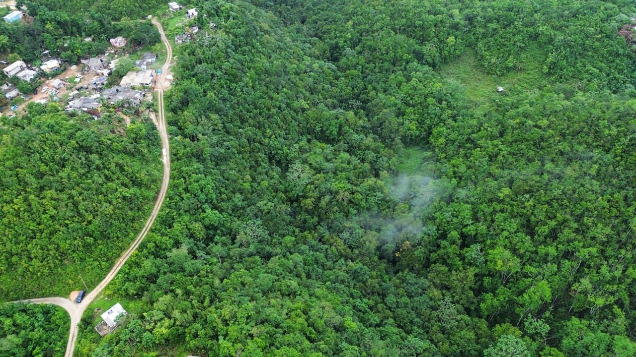 Development-Land-for-Sale-in-Mount-Zion-St.-Andrew-Jamaica-4-Acres Fourth image of Mount Zion in Red Hills, St. Andrew, Jamaica - property is For Sale