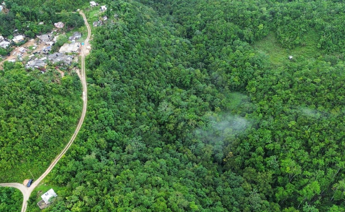 Sixth image of Mount Zion in Red Hills, St. Andrew, Jamaica - property is For Sale