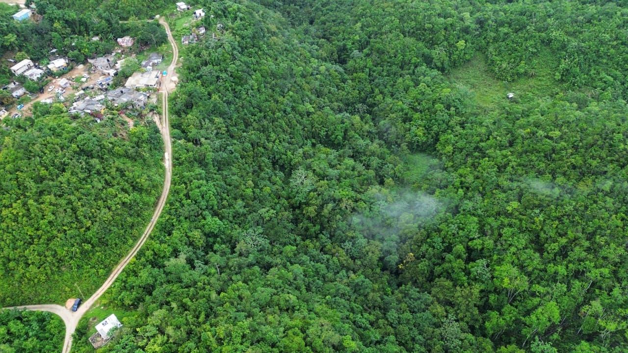 Development-Land-for-Sale-in-Mount-Zion-St.-Andrew-Jamaica-4-Acres Sixth image of Mount Zion in Red Hills, St. Andrew, Jamaica - property is For Sale
