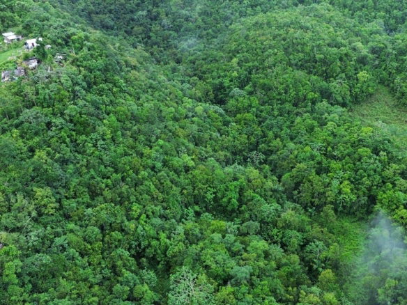 First image of Mount Zion in Red Hills, St. Andrew, Jamaica - property is For Sale