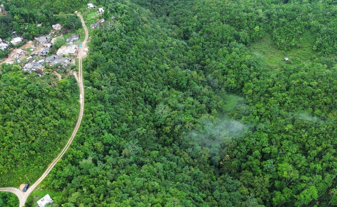 Seventh image of Mount Zion in Red Hills, St. Andrew, Jamaica - property is For Sale