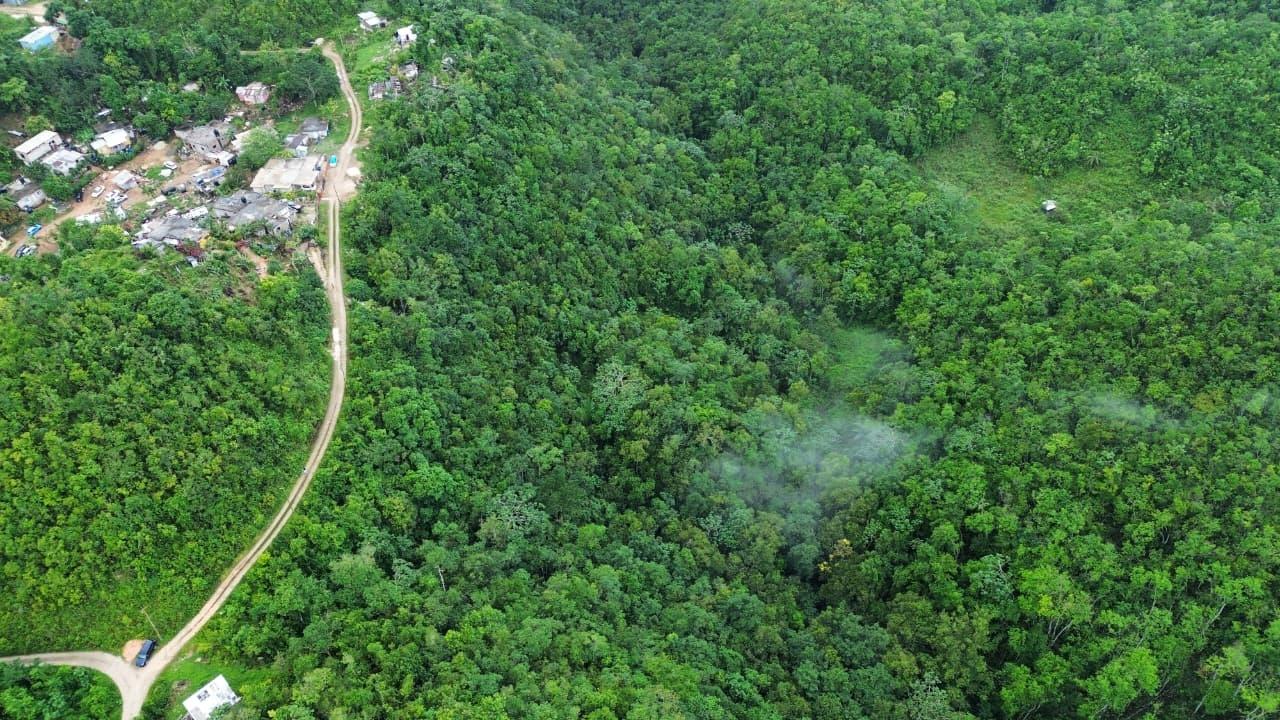 Development-Land-for-Sale-in-Mount-Zion-St.-Andrew-Jamaica-4-Acres Seventh image of Mount Zion in Red Hills, St. Andrew, Jamaica - property is For Sale